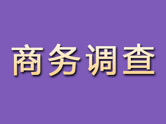 金湾商务调查